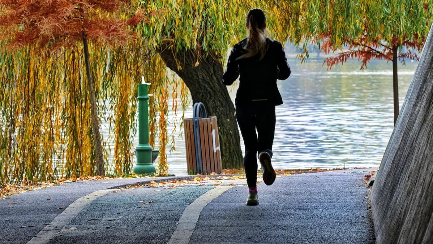 秋の公園を軽く走るくらいの強度が免疫に有利だという仮説があります (Photo: Surprising_Media / Pixabay)