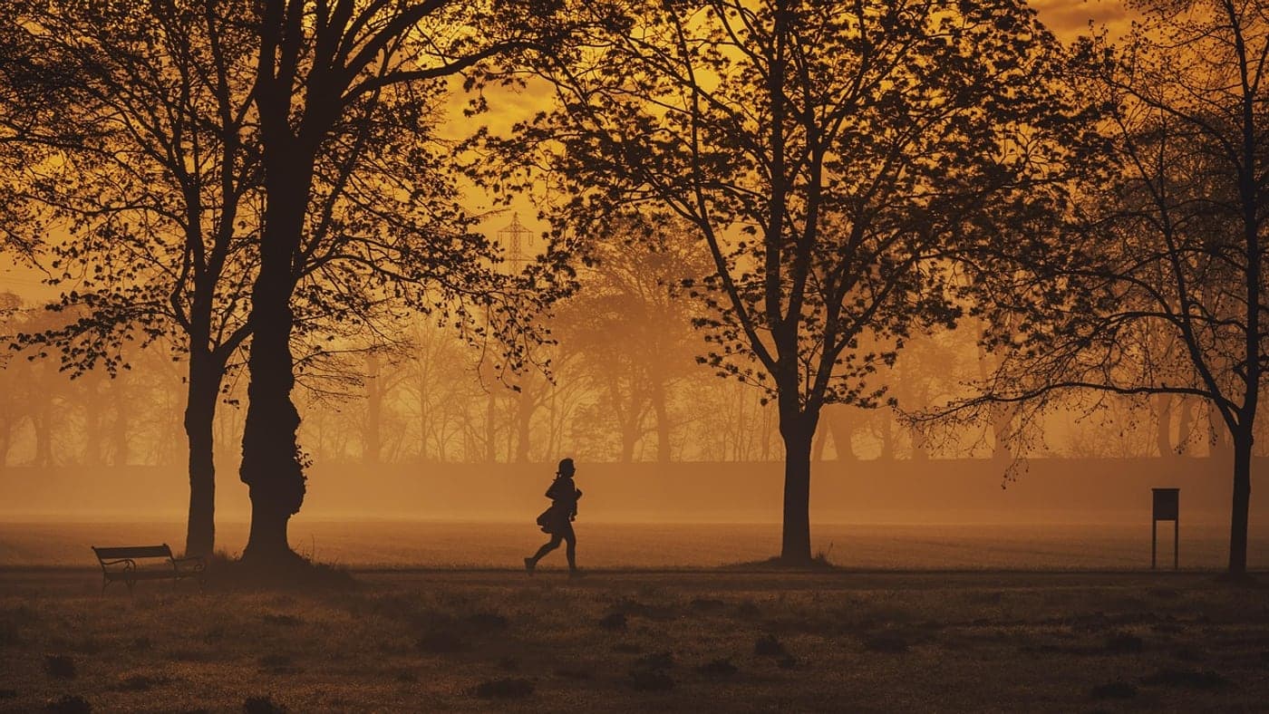 Running easily in a park as the light fades helps the tension of the day melt away (Photo: Michael_Pointner / Pixabay)