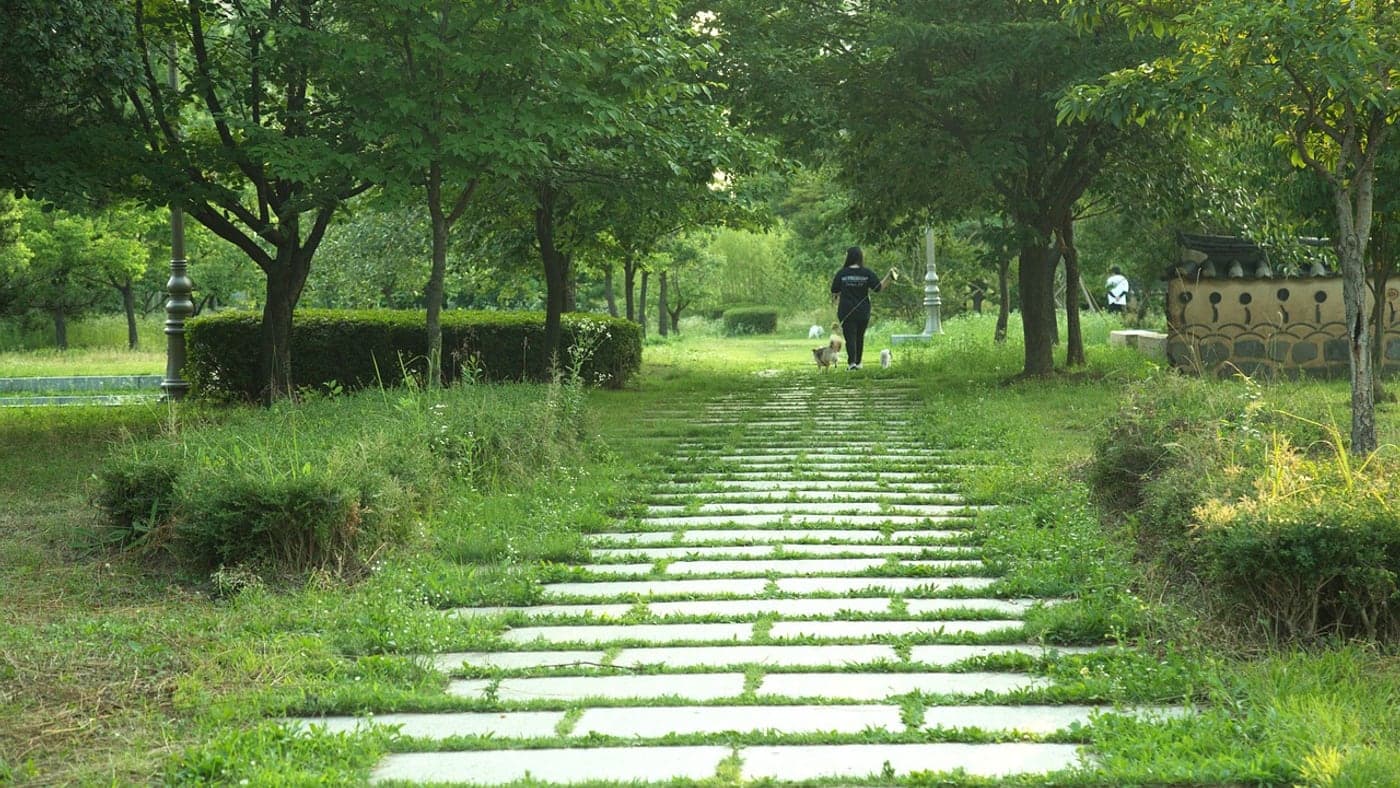 歩いたり走ったりでも、公園の道で過ごした時間はすべて運動です (Photo: haoran2020 / Pixabay)